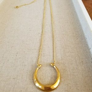 Double Horn Pendant